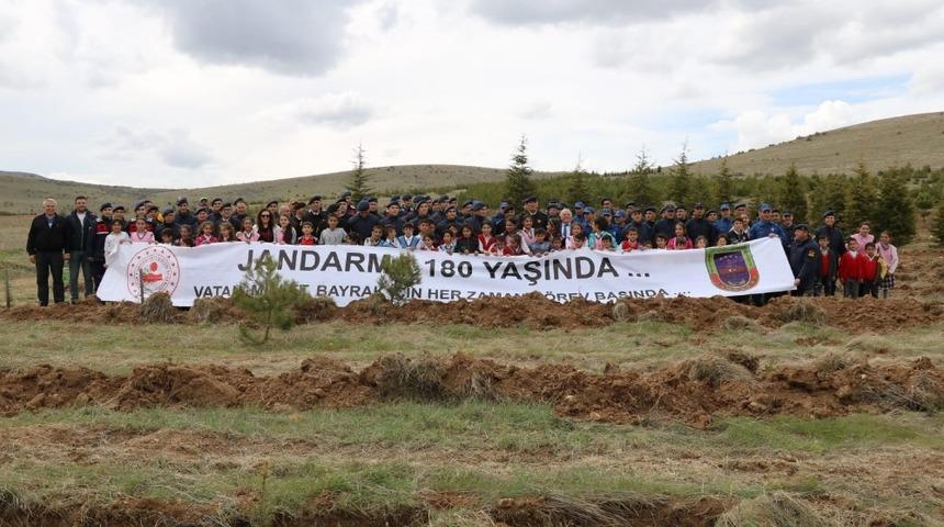 Jandarma Mucur İl&ccedil;esinde 2 bin 500 fidan dikti