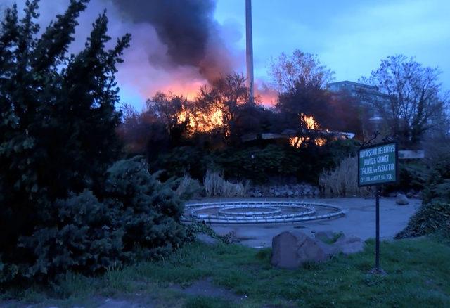 Ankara'da hastane yanında çıkan yangın korkuttu