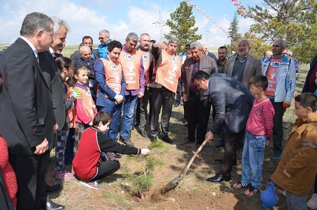 Bünyan’da Bin adet fidan toprakla buluşturuldu