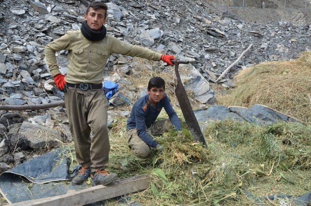 (Özel) Hakkari’deki besiciler zor durumda