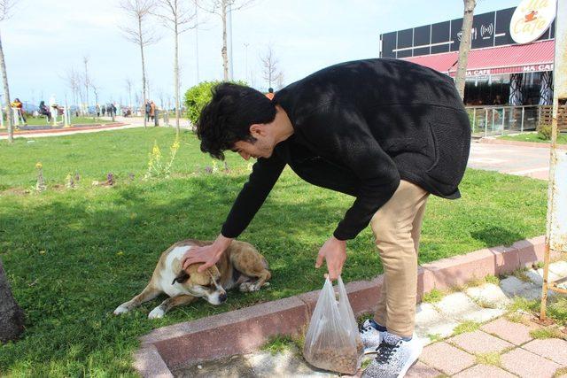 (Pazar)Üniversite öğrencileri sokak hayvanlarını unutmadı