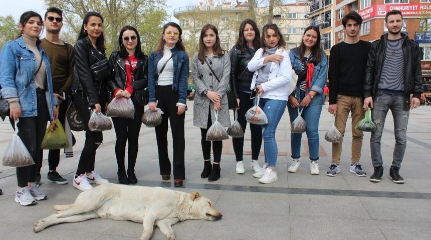 (Pazar)&Uuml;niversite &ouml;ğrencileri sokak hayvanlarını unutmadı
