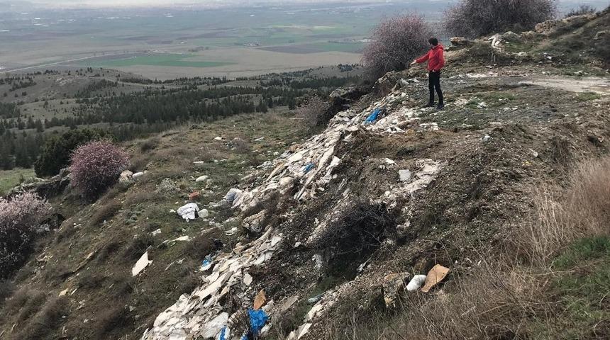 Ormanlık alandaki g&ouml;r&uuml;nt&uuml;ler pes dedirtti