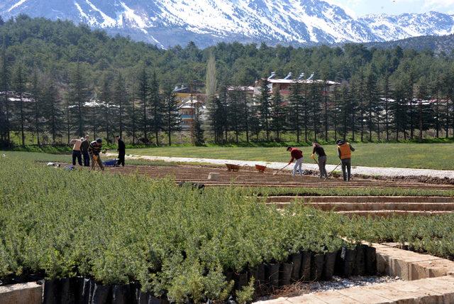 Yılda 6 milyon fidanla yeni orman sahalarını ağaçlandırıyorlar