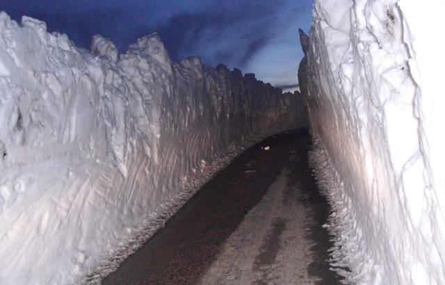Kardan dolayı 6 aydır kapalı kalan yayla yolu açıldı