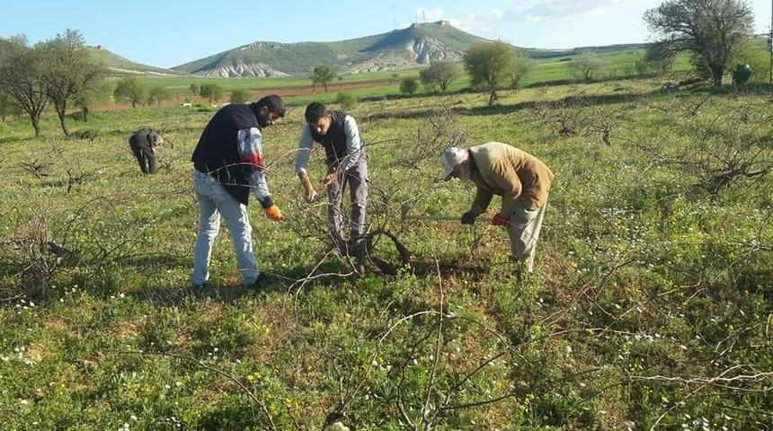 &Ccedil;ift&ccedil;iler bağlarını buduyor