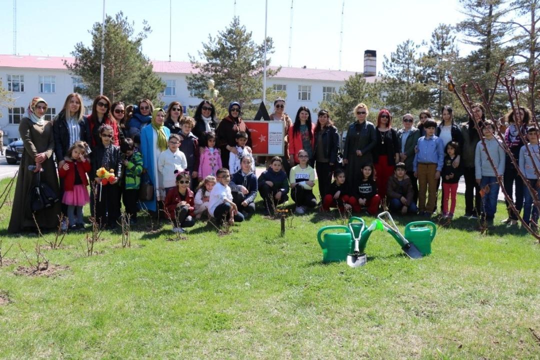 120 kahraman &ccedil;ocuk anısına 120 g&uuml;l fidanı