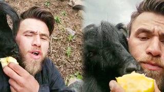 Rizeli çobanların keçileri bu kez armut ve salatalığa ortak oldu