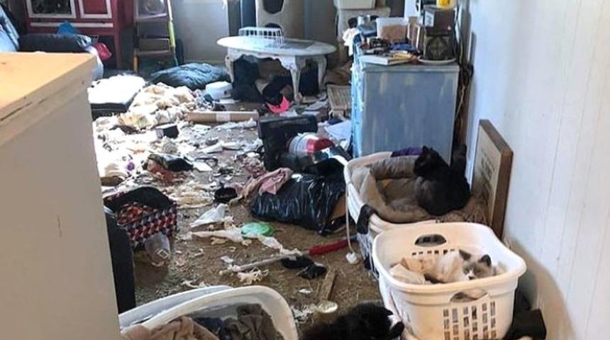 Öldürdüğü 63 kediyi evindeki buzdolabında sakladı!