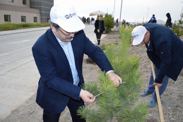 Bin 800 Fidan Kayseri Şehir Hastanesi Yüksek Güvenlikli Adli Psikiyatri Hastane Kampüsünde Toprakla Buluştu