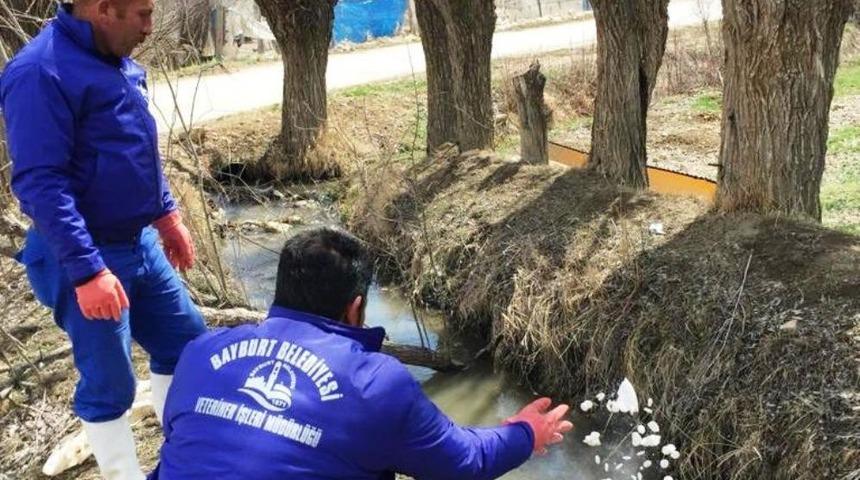 Larvalarla m&uuml;cadele hız kesmiyor
