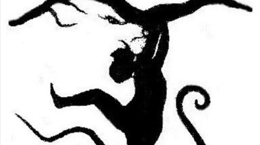 Bu resimde g&ouml;rd&uuml;ğ&uuml;n&uuml;z ilk şey kişiliğiniz hakkında &ccedil;ok şey s&ouml;yl&uuml;yor!