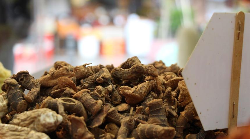 Bahar nezlesinin şifası havlıcan