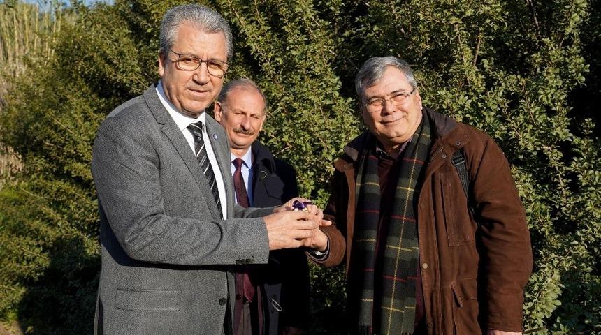 Rekt&ouml;r Budak&rsquo;tan girişimcilere sakız ağacı yetiştiriciliği &ccedil;ağrısı