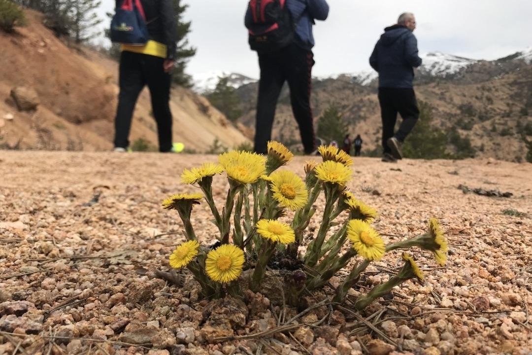 G&uuml;m&uuml;şhaneli dağcılardan Kelkit&rsquo;te bahar y&uuml;r&uuml;y&uuml;ş&uuml;