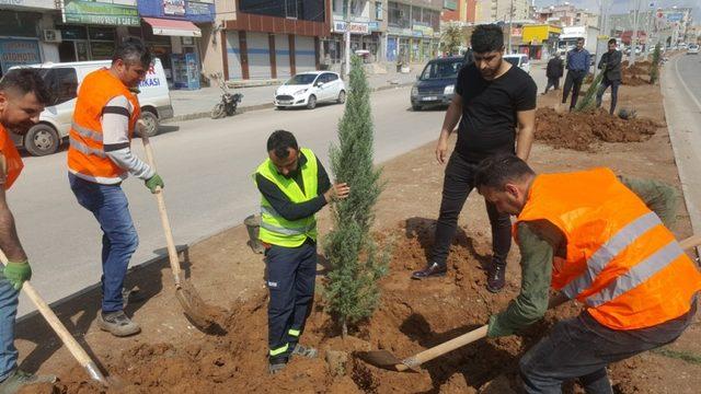 Silopi’de İpekyolu refüj çalışmaları devam ediyor