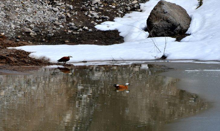 Şehitler diyarı çiçeklerle bezendi G1