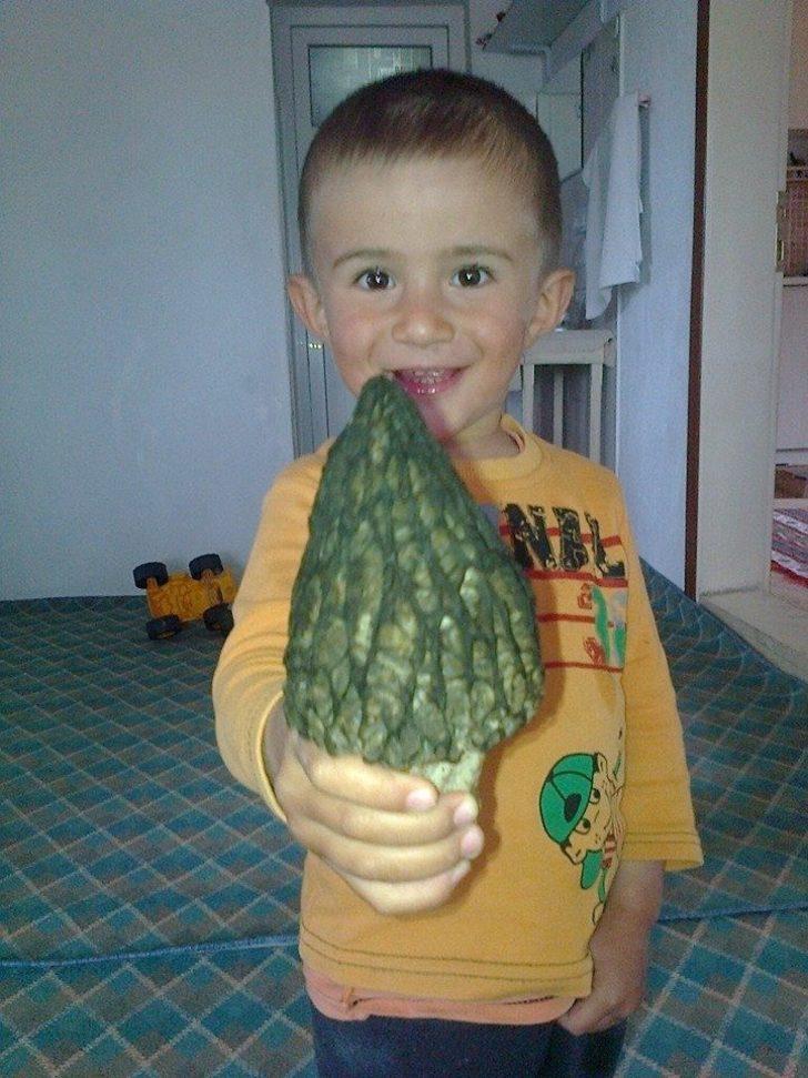 Denizli’de ‘kuzu göbeğine’ büyük ilgi G1