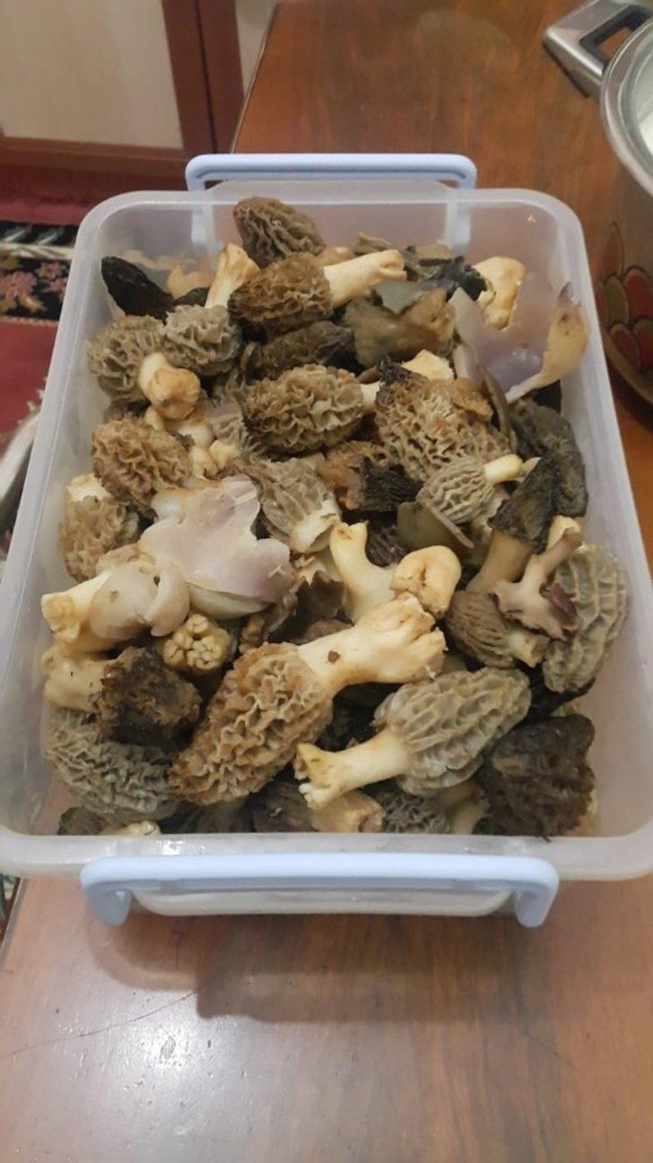 Denizli’de ‘kuzu göbeğine’ büyük ilgi G3