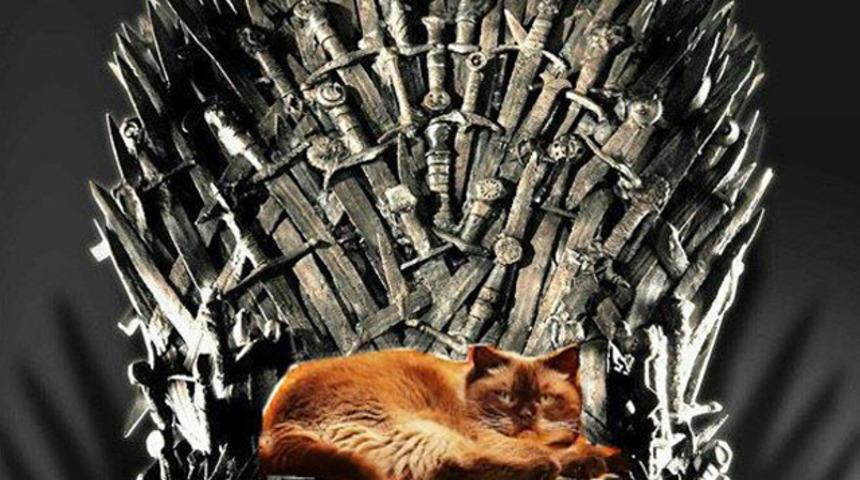 Game of Thrones'un yeni sezonu ile ilgili yapılmış en komik paylaşımlar!