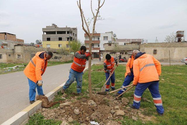 Kilis’te park ve bahçelere özel bakım