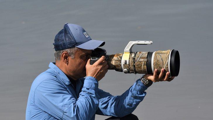 Dünyanın en hızlı kuşu deniz kırlangıcı av peşinde! Nefes kesen anlar G1
