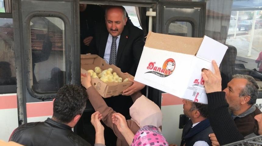Başkan T&uuml;rkyılmaz vatandaşlara civciv dağıttı
