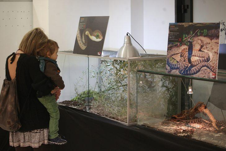 'En zehirli yılanlar' sergilendi G3