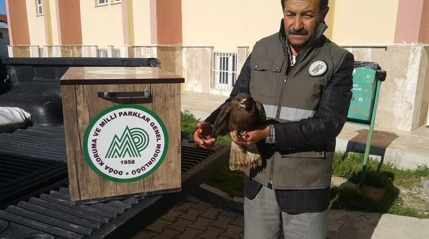Van&rsquo;da yaralı kuşlar tedavi altına alındı