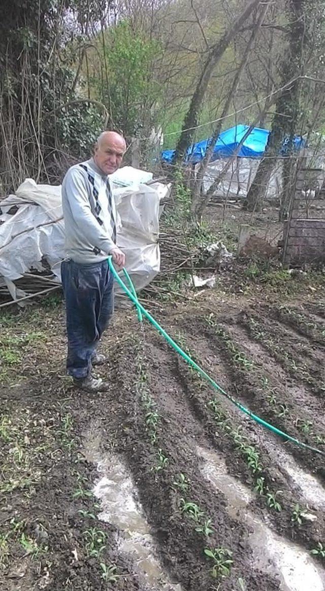 Yenice&rsquo;de arsasına  ada &ccedil;ayı dikimini yapan ilk kişi oldu 4