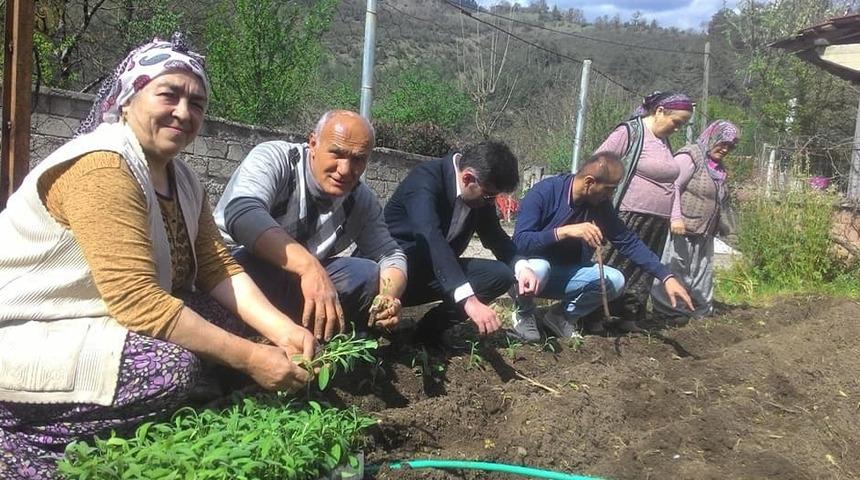 Yenice&rsquo;de arsasına  ada &ccedil;ayı dikimini yapan ilk kişi oldu