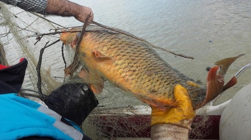 Ka&ccedil;ak avda kullanılan bin metre ağ ile 400 kilo balık ele ge&ccedil;irildi