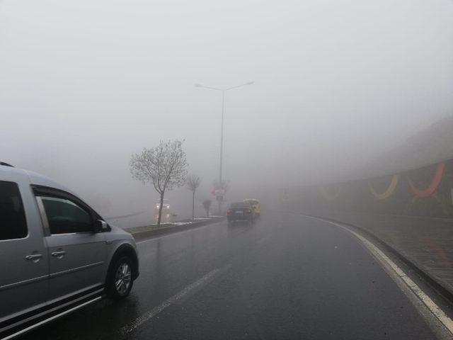 Mardin’de yoğun sis ve sağanak hayatı felç etti