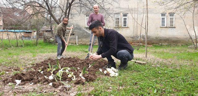 Çukurca’da tarlalar ekilmeye başlandı