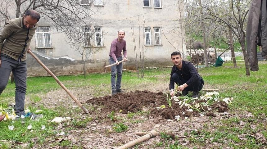 &Ccedil;ukurca&rsquo;da tarlalar ekilmeye başlandı