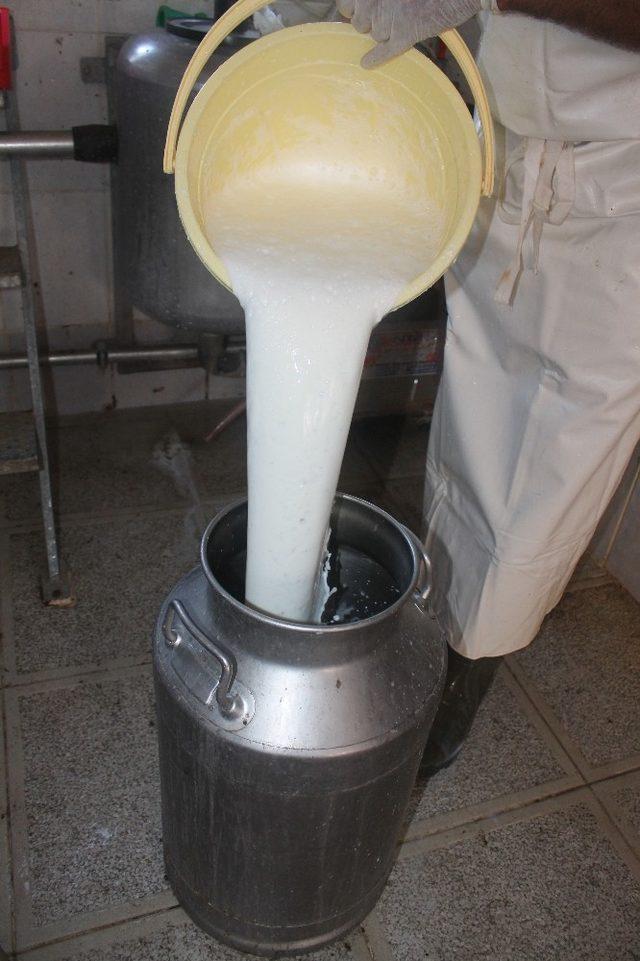 Çiğ süte verilen 2 lira süt üreticini memnun etti