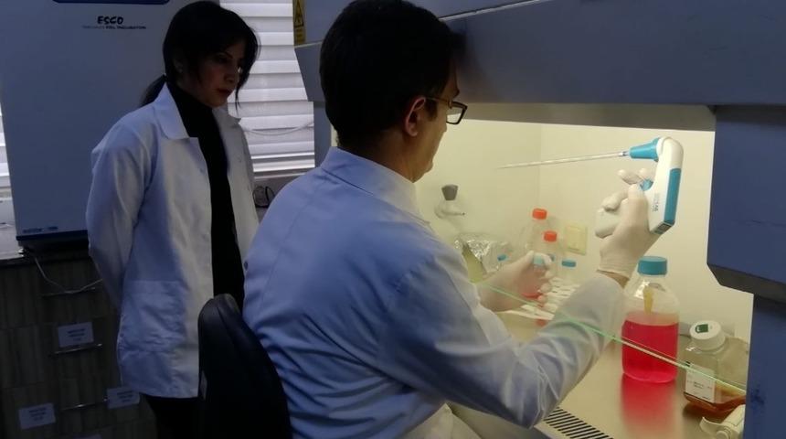 Erciyes &Uuml;niversitesinden Hayvancılığın Geleceği İ&ccedil;in B&uuml;y&uuml;k &Ccedil;alışma