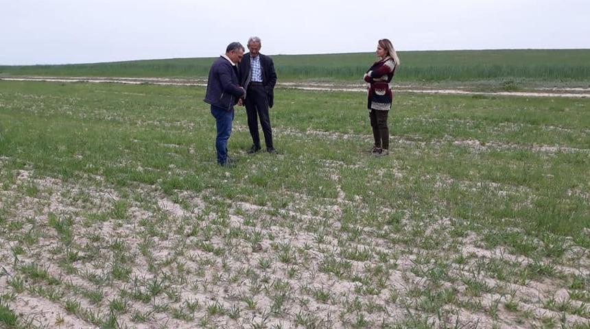 Aksaray&rsquo;da ziraat m&uuml;hendisleri &ccedil;ift&ccedil;ileri bilgilendirdi