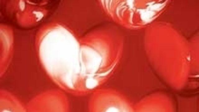 The Bosphorus İstanbul'da Sevgililer Günü