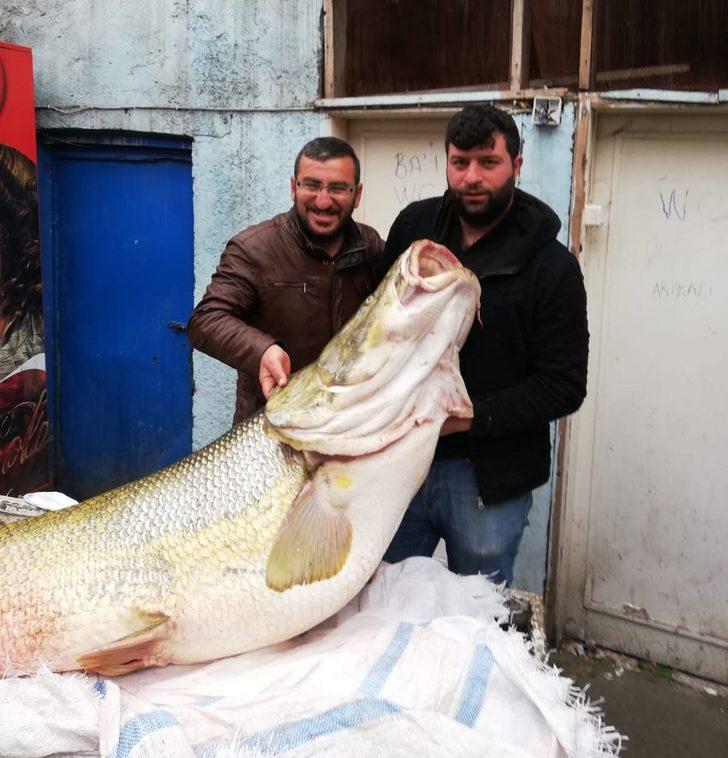 Tam 120 kilo! Görenler gözlerine inanamadı G1