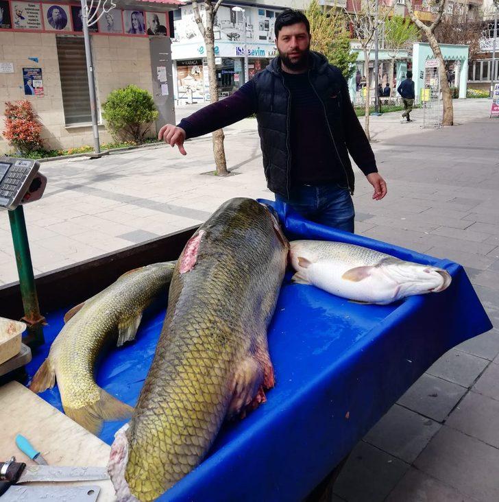 Tam 120 kilo! Görenler gözlerine inanamadı G2