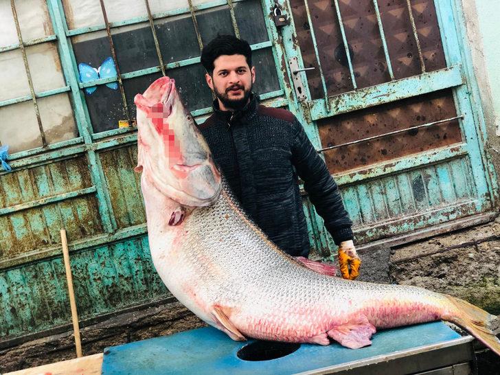 Tam 120 kilo! Görenler gözlerine inanamadı G5