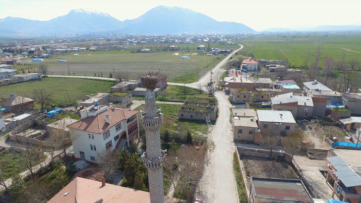 59 yıldır aynı minarede konaklıyorlar! G1