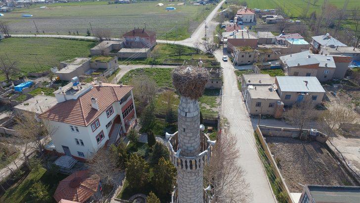 59 yıldır aynı minarede konaklıyorlar! G2