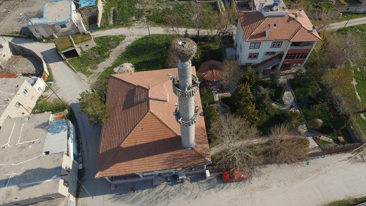 59 yıldır aynı minarede konaklıyorlar! G3