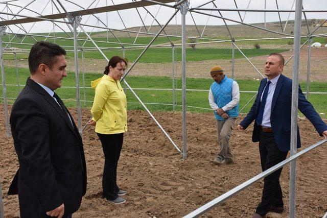 Aksaray’da Tarım ve Orman Müdürlüğü ekipleri seralarda incelemede bulundu