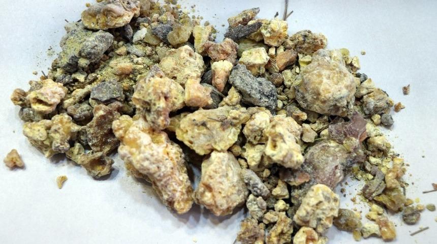 &Ccedil;am sakızı şifa dağıtıyor