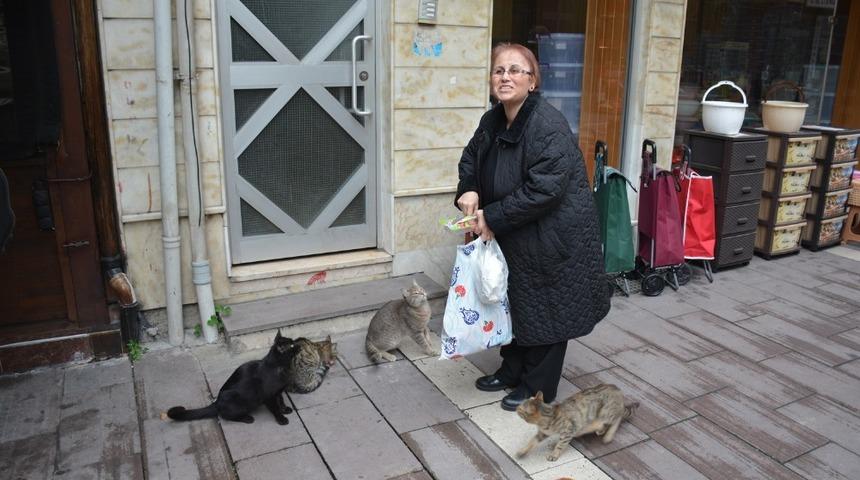 Mahalledeki onlarca kediyi besliyor