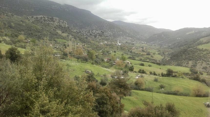 Bu k&ouml;yde yaşayanlar diken &uuml;st&uuml;nde