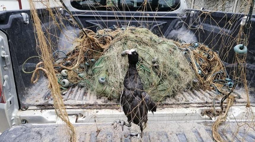 D&uuml;zce'de g&ouml;le atılan ağlar toplandı